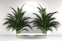 热带花岗岩裙台几何和植物装饰在白色的背景。3d渲染