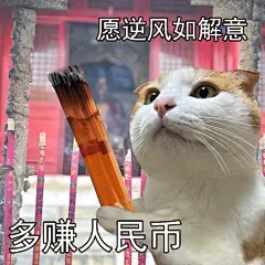 新的一年不发脾气只发财
2024年，该轮到姨姨们发财啦！
 
#橘宝文学 #表情包 #奇奇怪怪表情包 #宠物表情包 #发财 #好运小猫 #新年 #在过一种很龙的年 #财神 #拜佛 #烧香 #祈福 #好运 #好运锦鲤 #好运连连