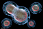 VCG41N1286019866
