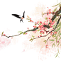 桃花 粉色 燕子 古风 花卉 花鸟 安静 春天 氛围 感觉