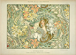 'Language_of_Flowers'_by_Alphonse_Mucha.jpg (889×640)