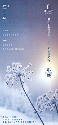 小样悠扬采集到节日——小雪