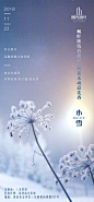 小雪