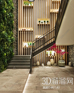 我是一颗大松树采集到学校文化
