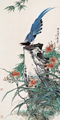田世光花鸟作品欣赏