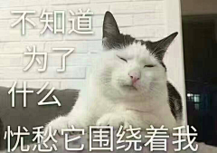 倾倾婉婉采集到1151