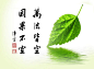 佛问：孩子，你哭什么？女孩：我失恋了。佛问：你爱他吗？女孩：爱，非常爱！佛问：那他爱你吗？女孩：现在不爱了。佛说：那么，该哭的是他，因为他失去了一个爱他的人。而你，不过失去了一个不爱你的人。—— 执于一念，将受困于一念；一念放下，会自在于心间。