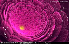 花朵抽象花朵鲜花花朵墙贴幻彩炫彩花朵浪漫花朵花朵装饰画花朵背景墙梦幻花朵花朵壁纸墙纸唯美花朵盛开绽放漂亮美丽花朵花纹图案花卉背景纹理分形花