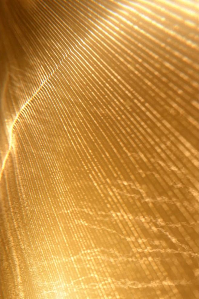 Golden lines