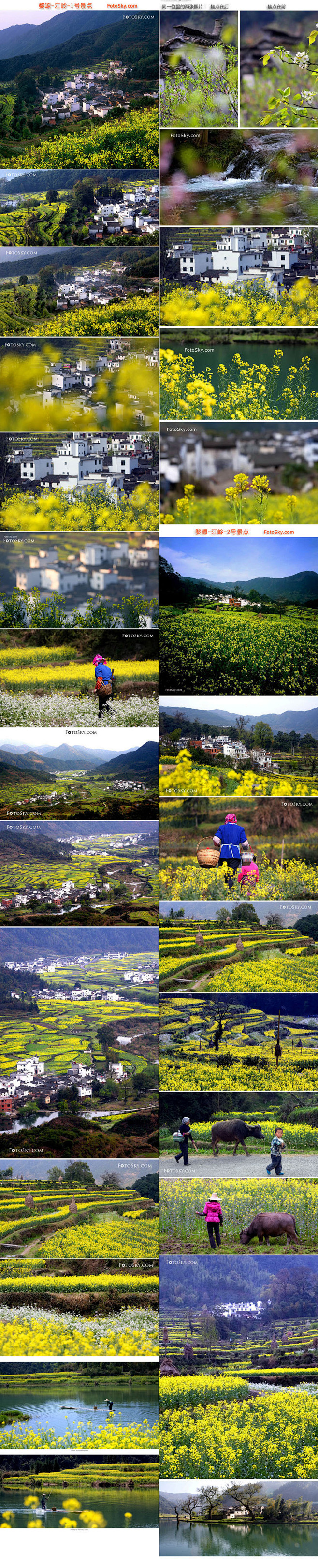  #旅途风景#婺源油菜花】婺源县位于江西...