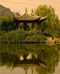 我的收藏mmexport1532038172753.webp