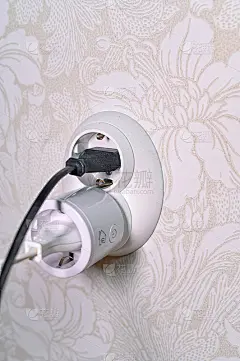 白色插座，插两根电缆