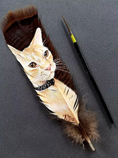 乌鸦の卡桑采集到插图