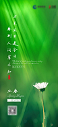 【源文件下载】 海报 二十四节气 立春 绿色 花 351394