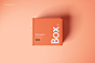 Front Tuck Mailer Box Mockup Set 01 on Behance