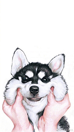 CRAZY周周采集到插画