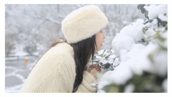 是小西瓜啊通过花瓣chrome扩展采集于2017-09-22 16:54:11集照片是小