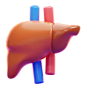 LUNGS  3D Icon