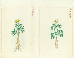 金石昆虫草木状