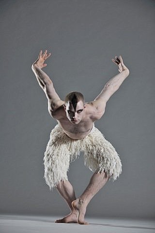 男版天鹅湖芭蕾舞图片