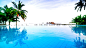 General 2560x1440 swimming pools palm trees water universe
