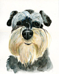 CUSTOM of your PET by DIMDI Original watercolor painting 8X10inch