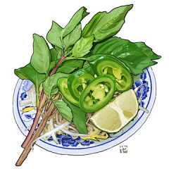 小年不吃香菜采集到食材