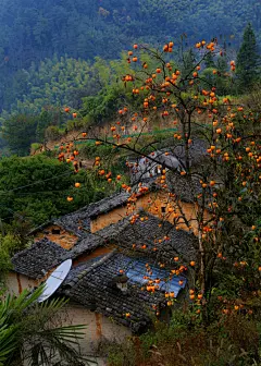壁纸