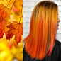 Hairdresser Is Inspired By Nature To Create Colored Hair And The Result Is Incredible