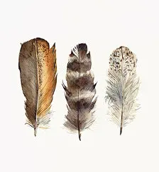 水彩插画－堆糖，美好生活研究所