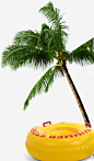 椰子树psd免抠素材_新图网 https://ixintu.com 椰子树 树 沙滩装饰