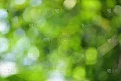 散景