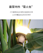 蘑菇灯最新描述_15.jpg