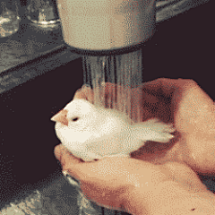 异想天幵采集到GIF