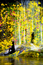 Universe of Water Particles on a Rock where People Gather | teamLab / チームラボ