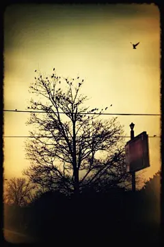 iPhone 爱情 暗色调20120806 (10)10189286_iPhone5壁纸|iPhone4s壁纸|iPad2壁纸免费下载-苹果园