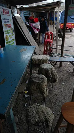 马奶茶