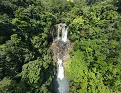 森林高清摄影素材