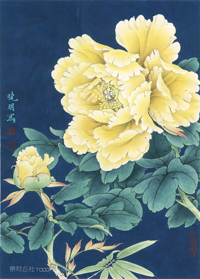 现代黄牡丹工笔国画图片