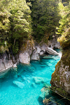 阳光正好啦啦啦采集到Lonelyland-NewZealand