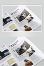 艺术贴图动物宣传册画册书籍样机