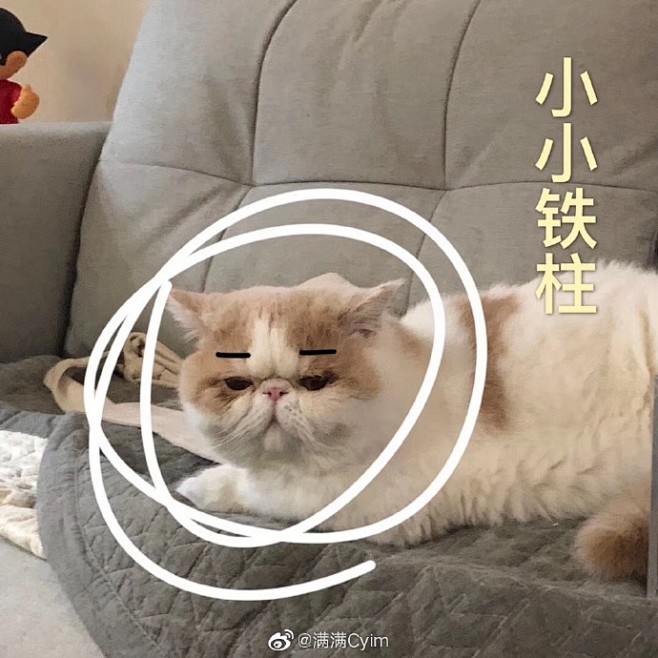 
穿了露脐装 才感受到自己真实地胖了
用...