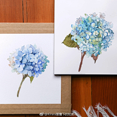 喔喔喔小朋友采集到水彩插画