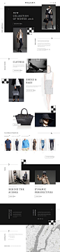 Template 58072 - Brilliance Clothes  Responsive Shopify  Theme: 