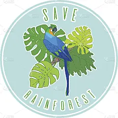 拯救雨林海报模拟设计。向量金刚鹦鹉插图
