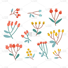 Doudoudoufu采集到花花