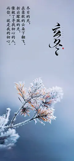 霜  冬至小雪大雪立冬小寒图片 立冬