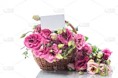 lisianthus,花束,粉色,自然美,贺卡,生日,白色,婚姻,清新,父亲节