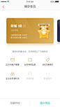 app会员页-VIP会员中心页-会员介绍页面-APP勋章页面