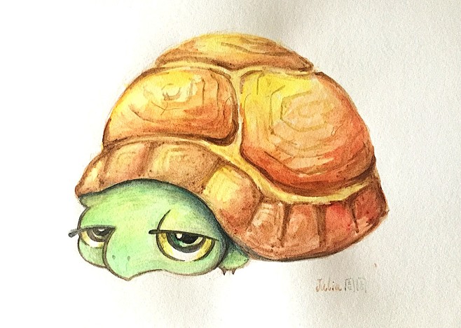 乌龟插画临摹